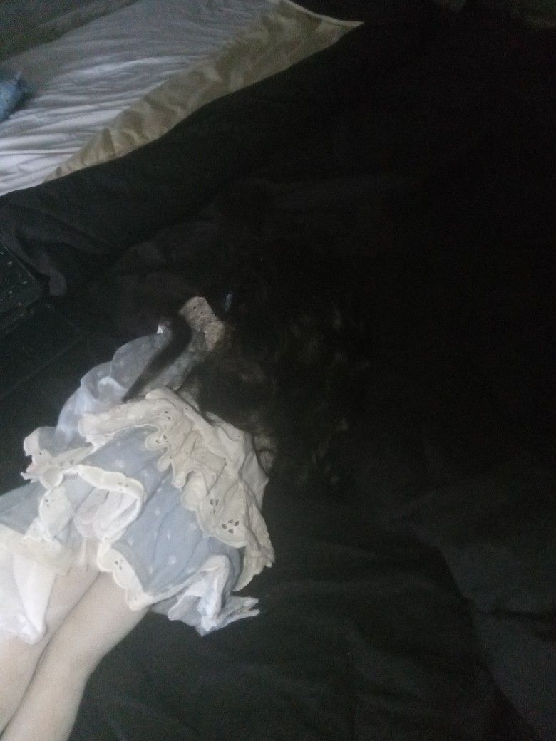 Gorgeous Realistic Porcelain Doll