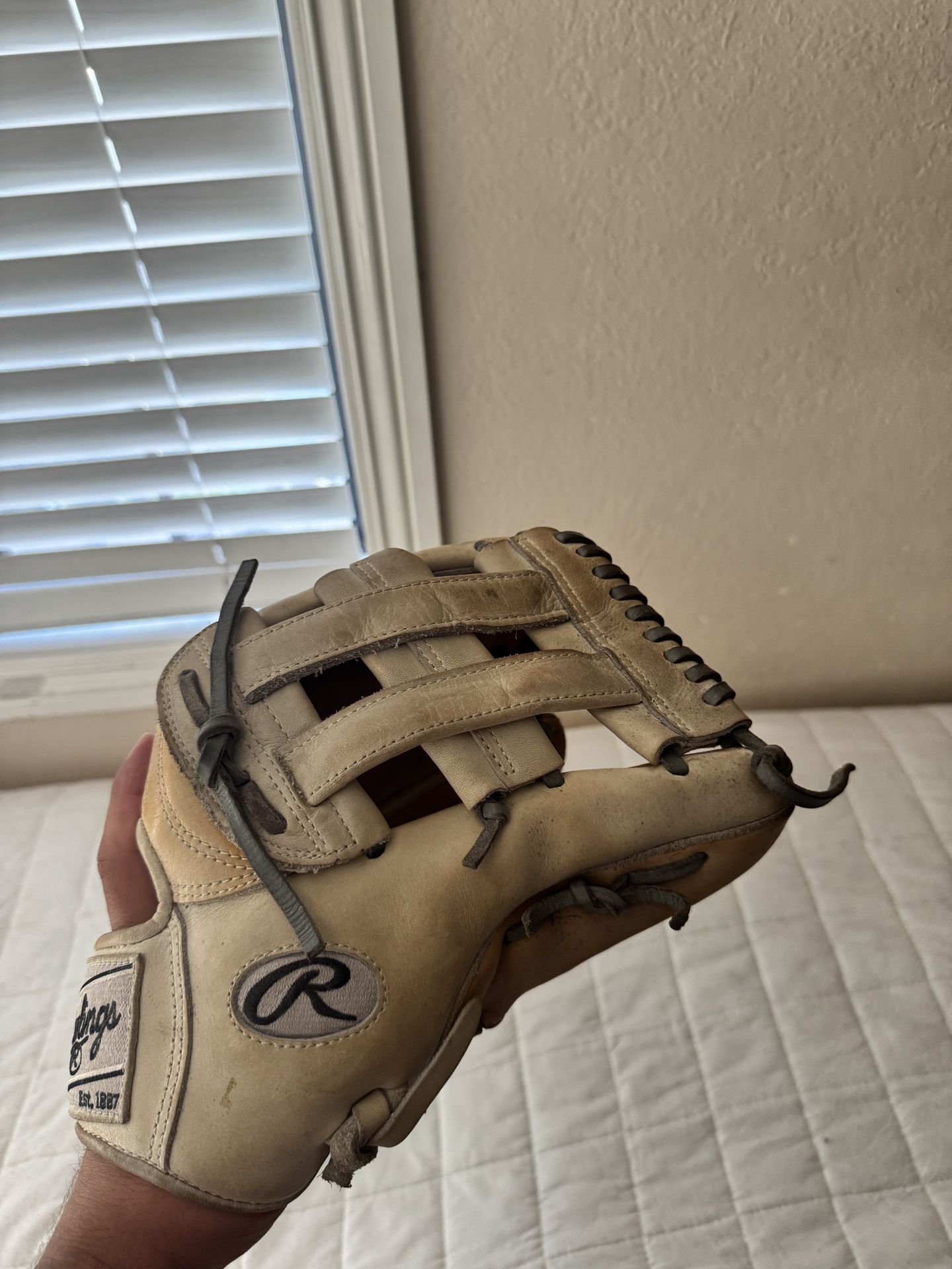Rawlings Outfield Glove
