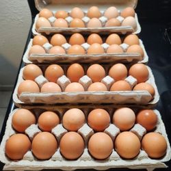 Organic Eggs