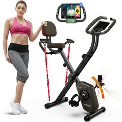 Indoor Stationary Recumbent Exercise Bike