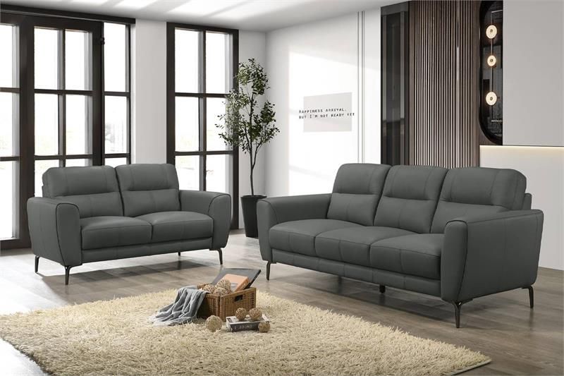 Full Leather Sofa & Loveseat - Gray Color