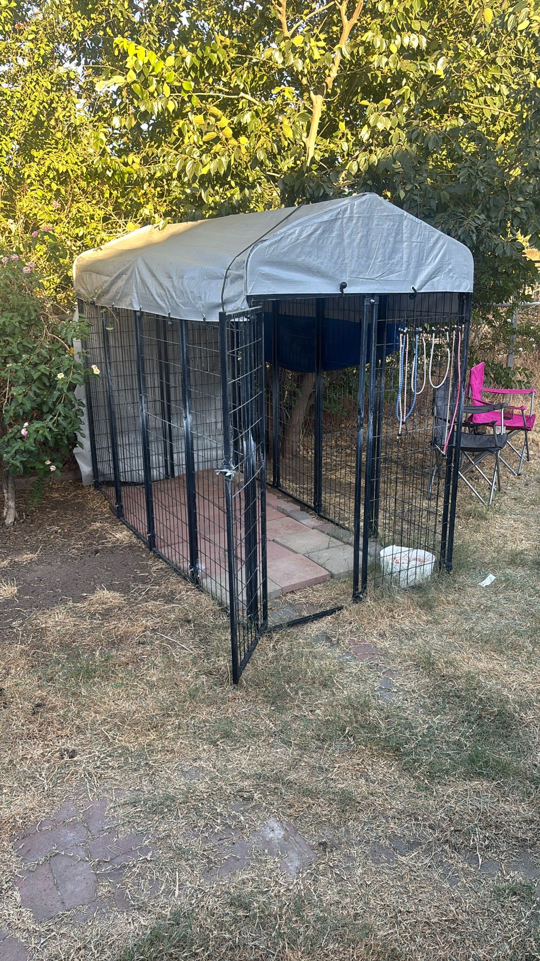 Dog Kennel