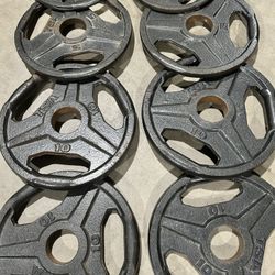 TSA Olympic Weights 55lbs 