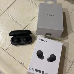 Sony Ear Bud Headphones 