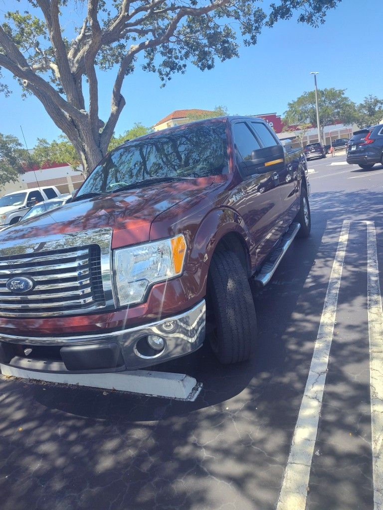 2010 Ford F-150