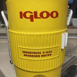 Igloo Drinking Cooler