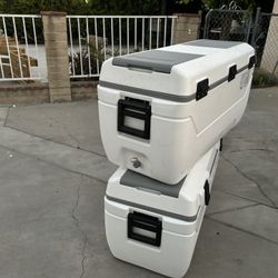 Igloo Cooler