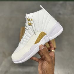 “OVO” Jordan 12s 7/M, 8.5/W 🦉