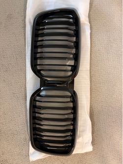 BMW Kidney grill