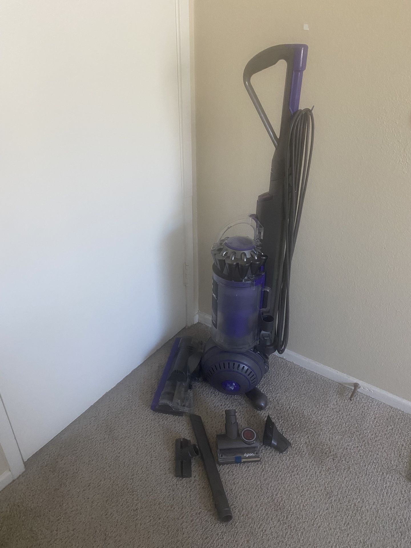 $100 Dyson Ball animal 2