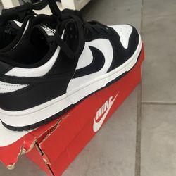 Nike Air Dunks 