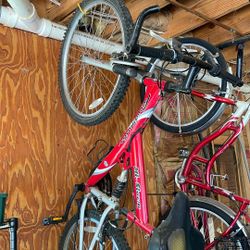Women’s Bike