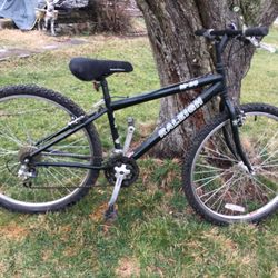  Raleigh Mountain Bike  $120
