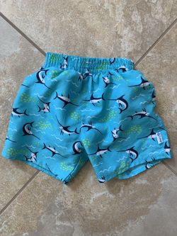 Swim Diaper