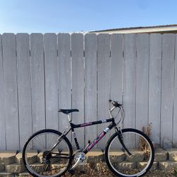 Fuji Vintage Mountain Bike