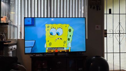 VIZIO 60-Inch TV – Excellent Working Condition + Remote