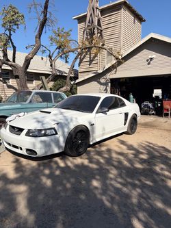 2000 Ford Mustang