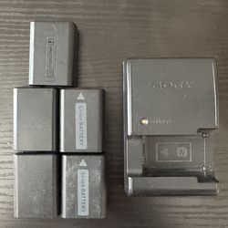Sony NP-FE50 Baterry Set plus charger
