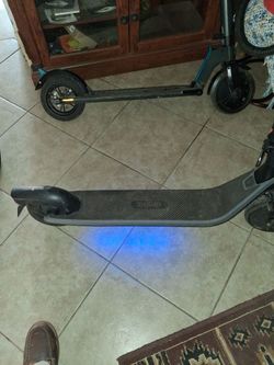 Ninebot Electric Scooter