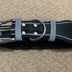 Dog Collars Size XL