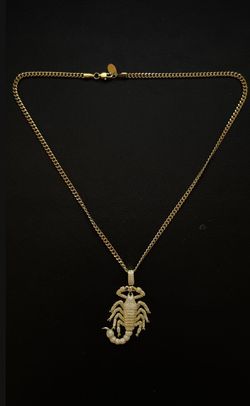 SPCY Gold Scorpion King Pendant with 22" Chain