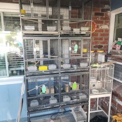 Breeding Bird Cages