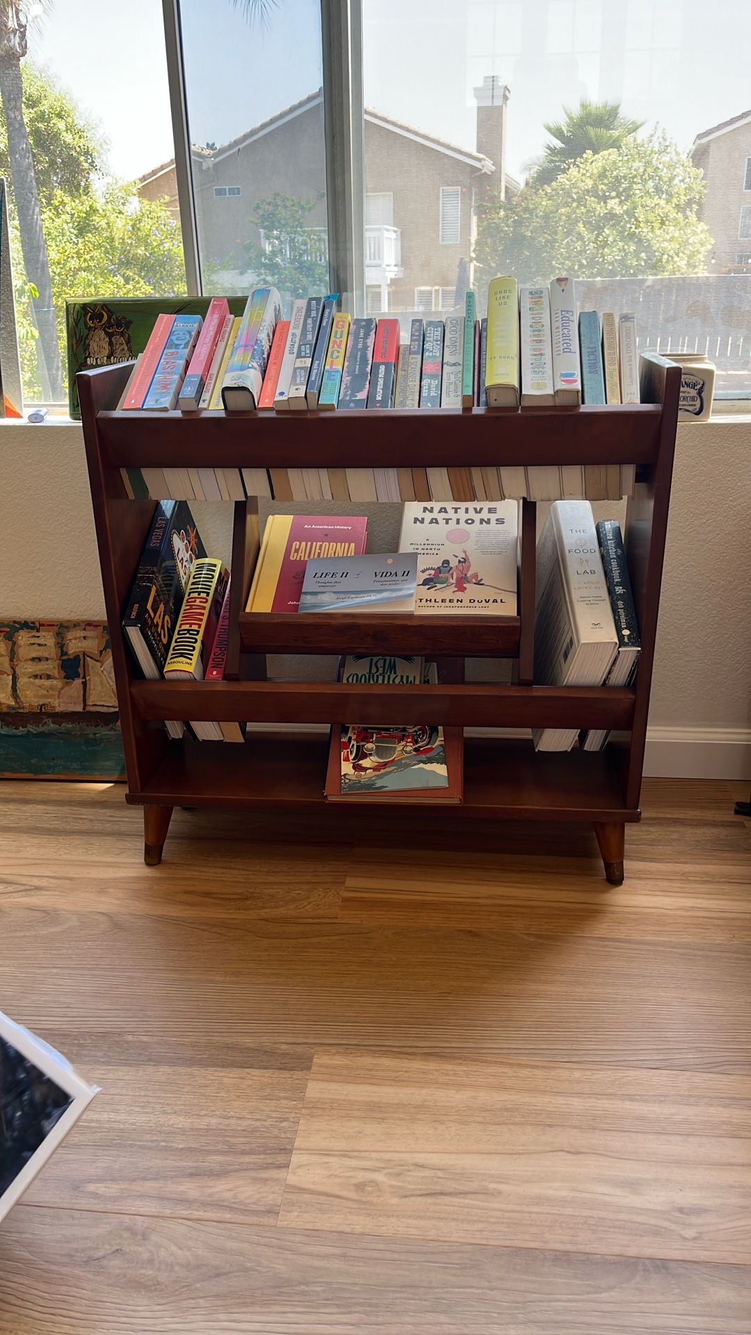 Midcentury Mid Century Modern Encyclopedia Bookshelf