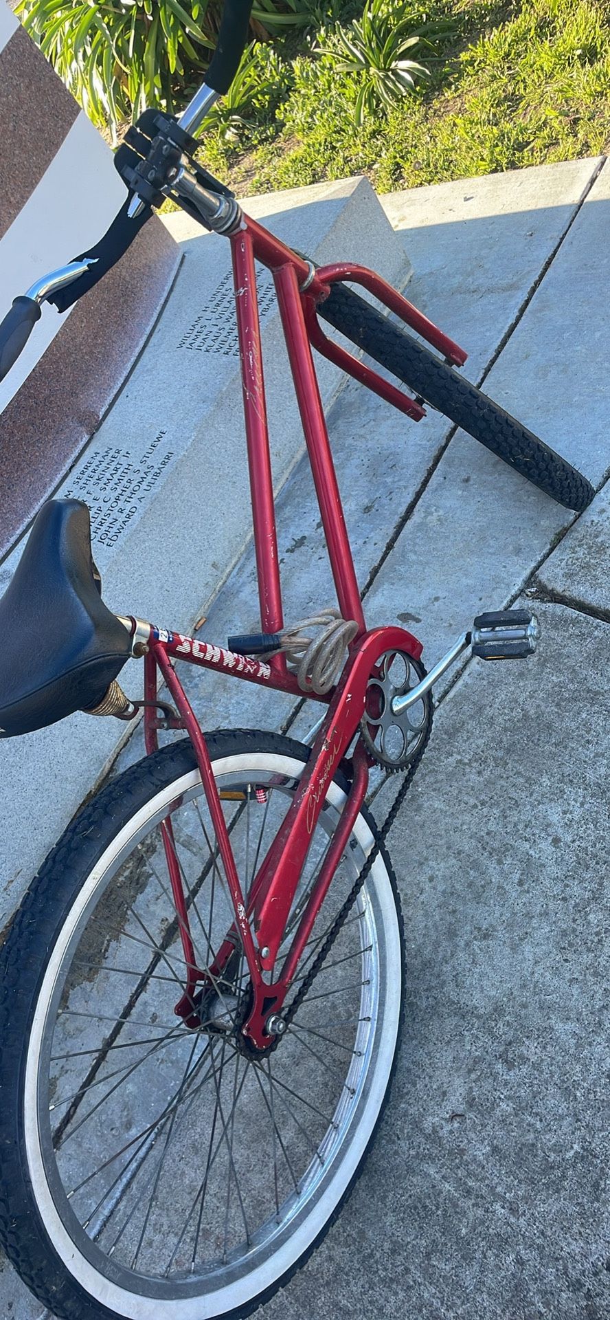 Schwinn Cruiser