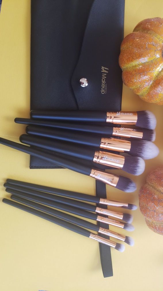 10pcs LA Makeup brush set with cosmetic bag