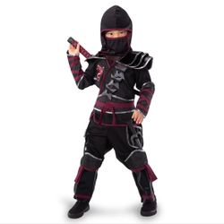 Ninja Costume