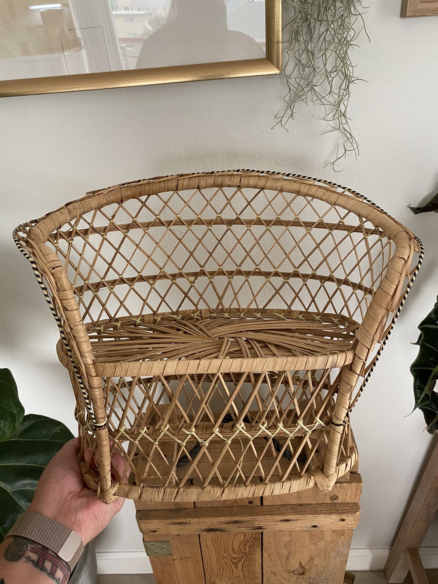 Vintage Rattan Peacock Double Seat Plant Chair