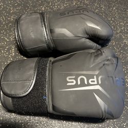 Boxing Gloves