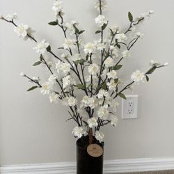 New White Cherry Blossom Plant