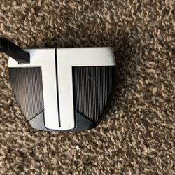 Taylor Made Spider Fcg