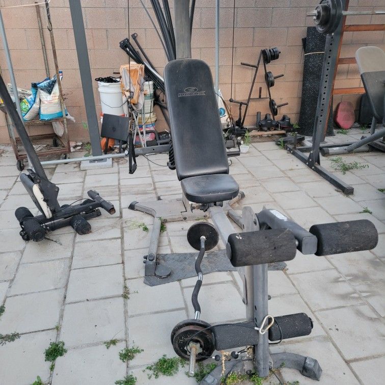 Bowflex Elite Home Gym 