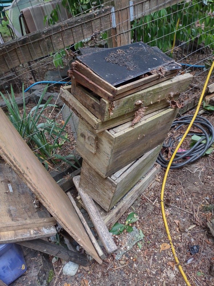 Bee Boxes FREE