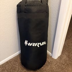 Punching Bag 25lb GREAT CONDITION