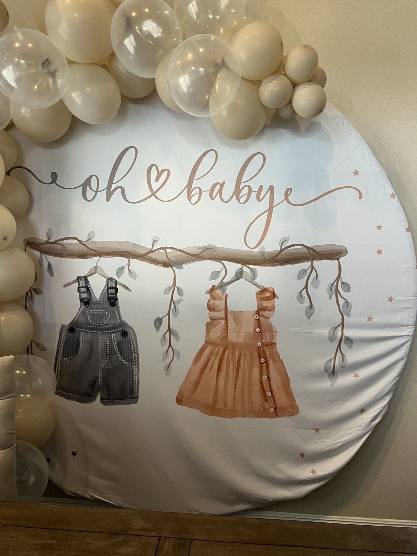 Baby Gender Reveal Backdrop No stand 