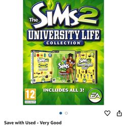 Video Game 