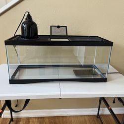 20 Gallon Terrarium 