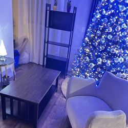 Coffee Table,bookshelves and armchair