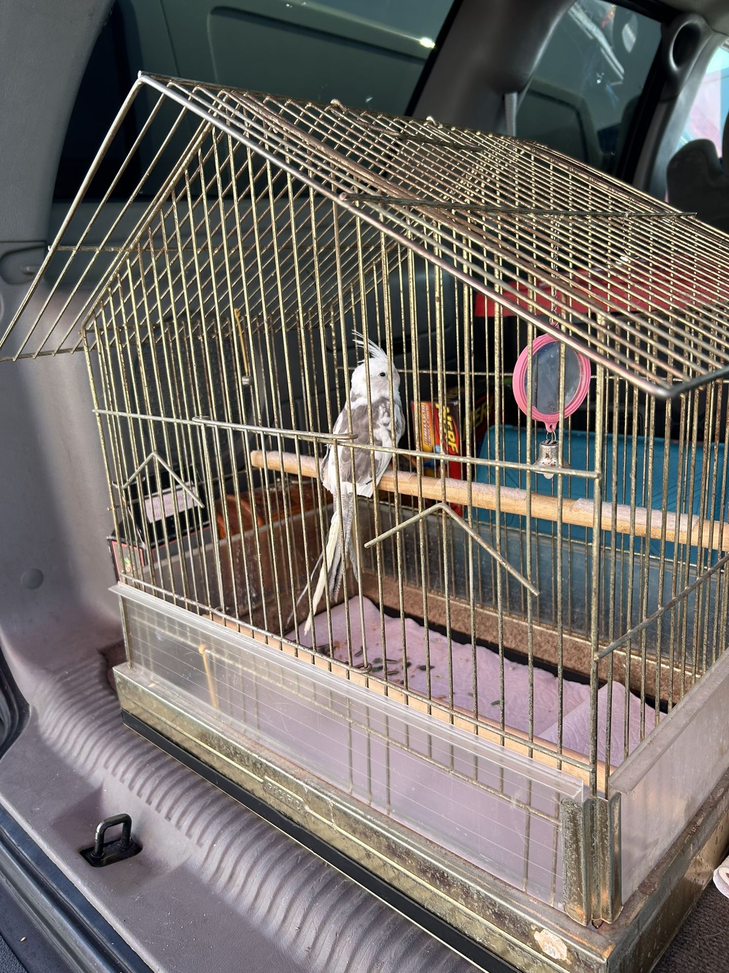 Bird Cage With Seed Protector