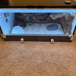 Reptile Enclosure Setup