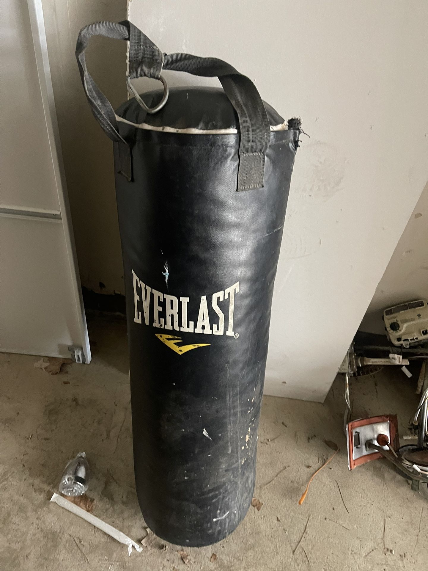 Everlast Punching Bag