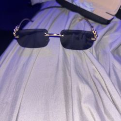 Sunglasses 