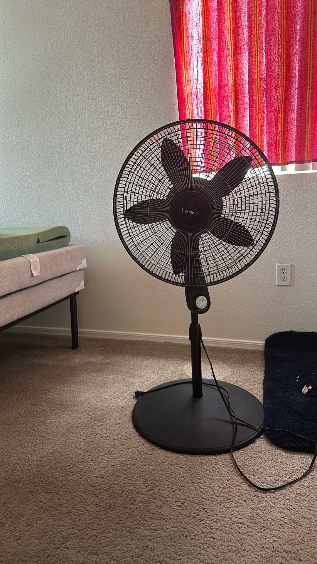 fan