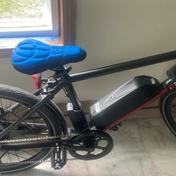 E Sans E-bike
