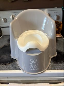 Toddler Potty