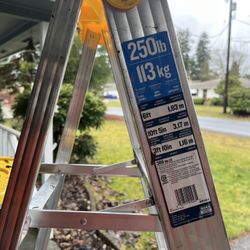 Werner Ladder For $40