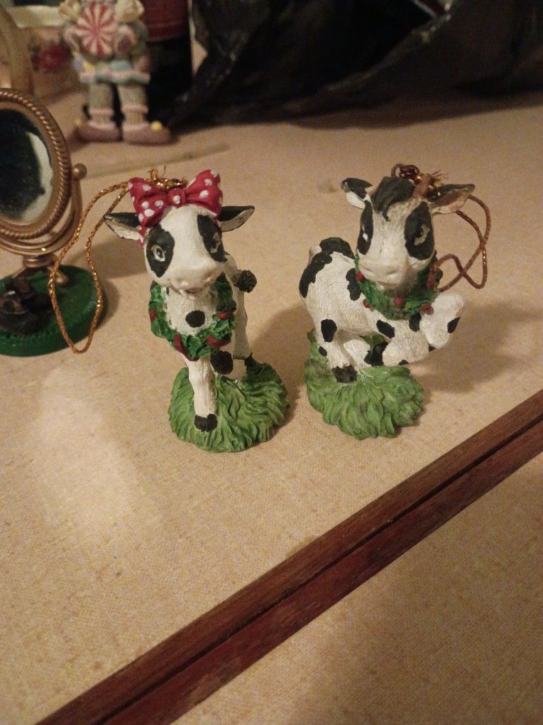 Danbury Cows